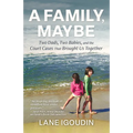 A Family, Maybe: Two Dads, Two Babies, and the Court Cases That Brought Us Together - Paperback