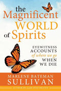 The Magnificient World of Spirits: Eyewitness Accounts of Where We Go When We Die - Paperback