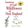 Summer & Fall Wildflowers of New England - Paperback