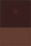 Amplified Study Bible, Imitation Leather, Brown, Indexed - Imitation Leather