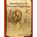 Introduction to Prenatal Psychology - Paperback
