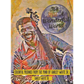 It's Still A Wonderful World: Colorful Musings From The Mind of Harley White Sr. - Hardcover