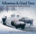 Yellowstone & Grand Teton Wildlife Portfolio (Sc) - Paperback
