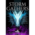 The Storm Gathers - Hardcover