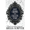 Lost Crows and Fallen Stars - Paperback