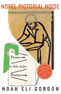 Novel Pictorial Noise - Paperback