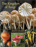 The Kingdom of Fungi - Hardcover