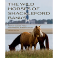 Wild Horses of Shackleford Banks - Paperback
