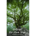 Birthright - Paperback
