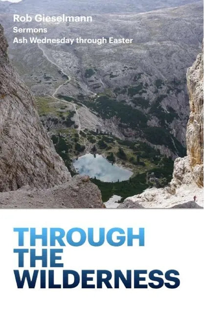 Through the Wilderness - Paperback