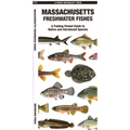 Massachusetts Freshwater Fishes - Paperback
