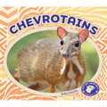 Chevrotains - Library Binding