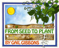 From Seed to Plant - Hardcover