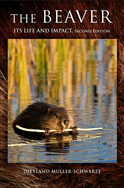 The Beaver: Natural History of a Wetlands Engineer - Hardcover
