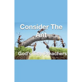 Consider The Ant - God's Tiny Preachers - Paperback