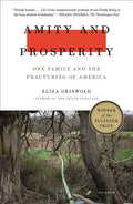 Amity and Prosperity: One Family and the Fracturing of America - Paperback