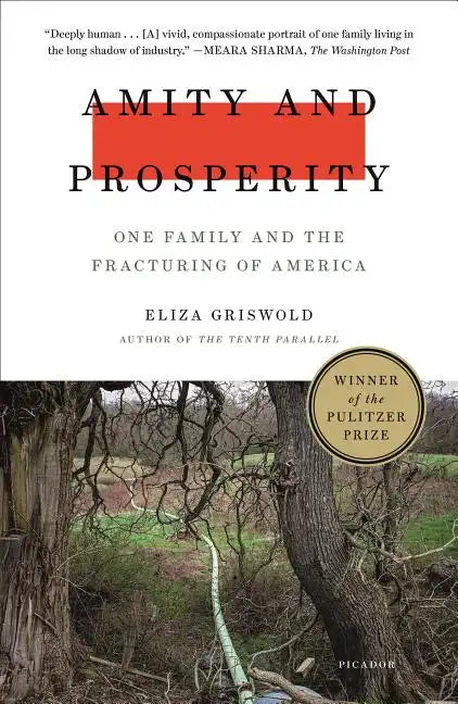 Amity and Prosperity: One Family and the Fracturing of America - Paperback