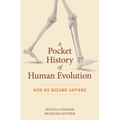 A Pocket History of Human Evolution: How We Became Sapiens - Paperback