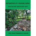 Ruminations of a Rhyming Rhino: More Silly and Serious Stuff from John Lloyd Chipembere Lwanda - Paperback