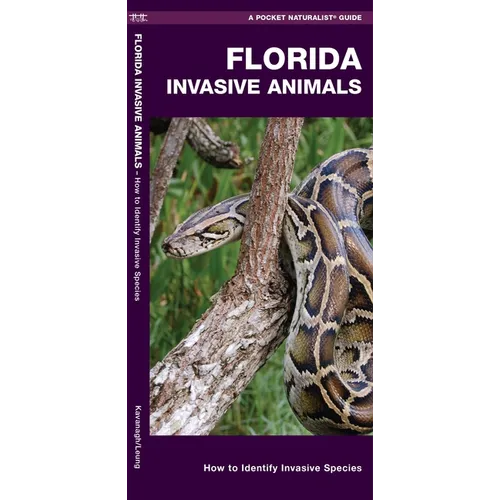 Florida Invasive Animals: A Folding Pocket Guide to Familiar Animals - Paperback