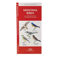 Montana Birds: A Folding Pocket Guide to Familiar Species