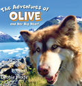 The Adventures of Olive And Her Big Heart: The Fire - Hardcover