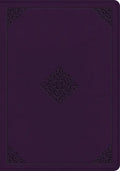 ESV Single Column Journaling Bible, Large Print (Trutone, Lavender, Ornament Design) - Imitation Leather