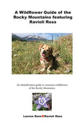 A Wildflower Guide of the Rocky Mountains featuring Ravioli Ross: An identification guide to common wildflowers of the Rocky Mountains. - Paperback