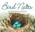 Bird Nests: Amazingly Ingenious and Intricate - Paperback