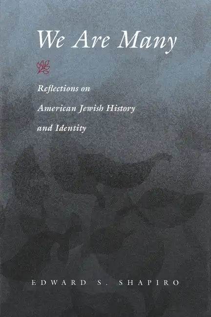 We Are Many: Reflections on American Jewish History and Identity - Paperback