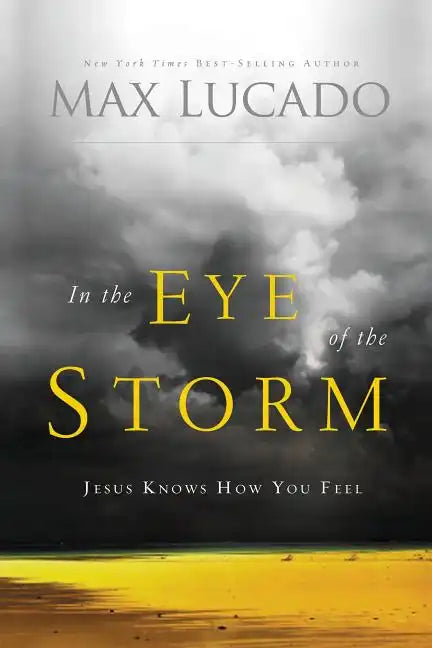 In the Eye of the Storm: Jesus Knows How You Feel - Paperback