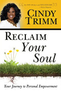 Reclaim Your Soul: Your Journey to Personal Empowerment - Paperback