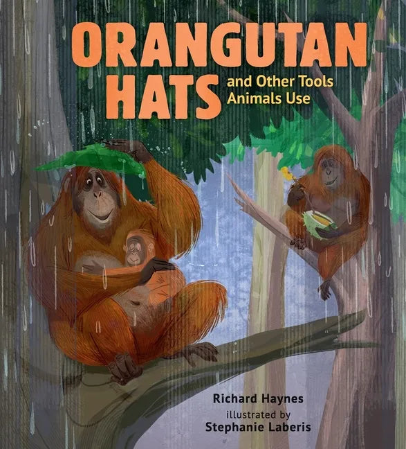 Orangutan Hats and Other Tools Animals Use - Hardcover