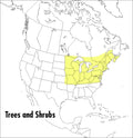 A Field Guide to Trees and Shrubs: Northeastern and North-Central United States and Southeastern and South-Central Canada - Paperback