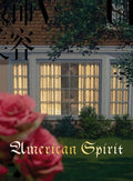 Roe Ethridge: American Spirit - Paperback