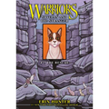 Skyclan and the Stranger #1: The Rescue: The Rescue - Library Binding