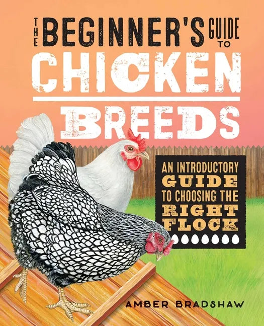 The Beginner's Guide to Chicken Breeds: An Introductory Guide to Choosing the Right Flock - Paperback