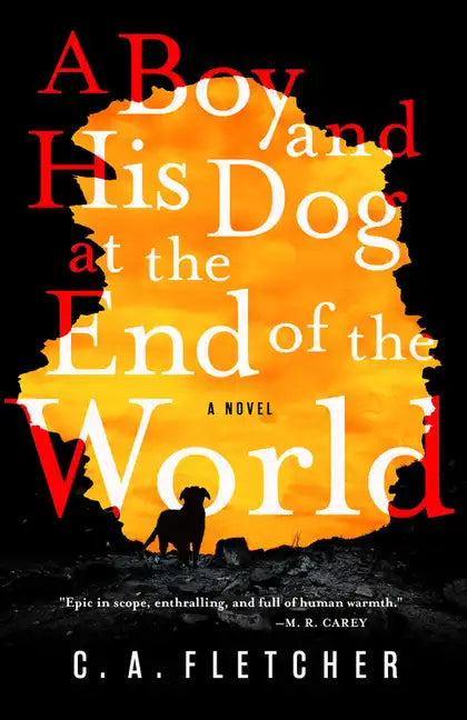 A Boy and His Dog at the End of the World - Hardcover