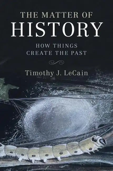 The Matter of History - Paperback