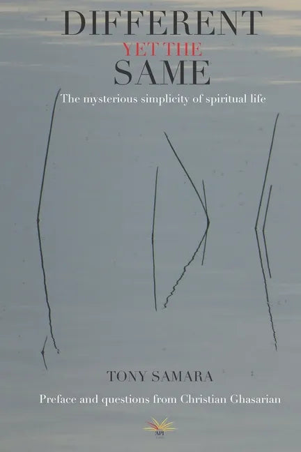 Different yet the same: The mysterious simplicity of spiritual life - Paperback