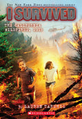 I Survived the California Wildfires, 2018 (I Survived #20): Volume 20 - Paperback