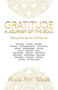 Gratitude: a Journey of the Soul: Twenty-Two Stories of Gratitude - Paperback