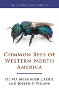 Common Bees of Western North America - Paperback