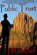 Public Trust - Paperback