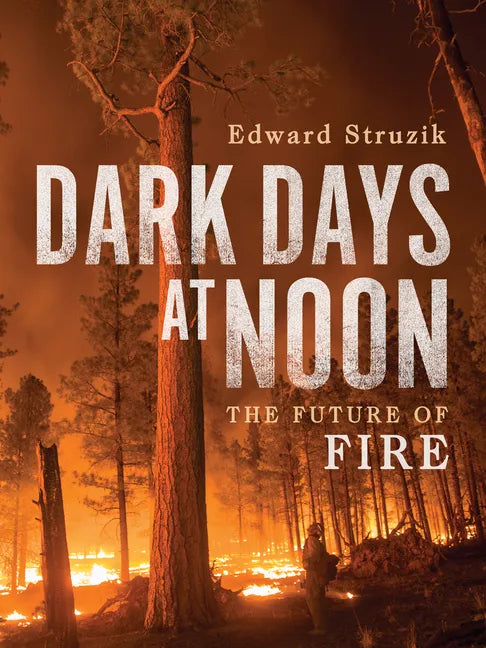 Dark Days at Noon: The Future of Fire - Hardcover