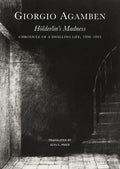 Hölderlin's Madness: Chronicle of a Dwelling Life, 1806-1843 - Hardcover