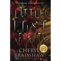 Little Lost Secrets, Large Print Edition - Paperback