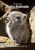 Our Nevada: Baby Animals - Board Book