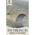 Stumbling In - Paperback
