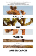 Call Up the Waters: Stories - Paperback